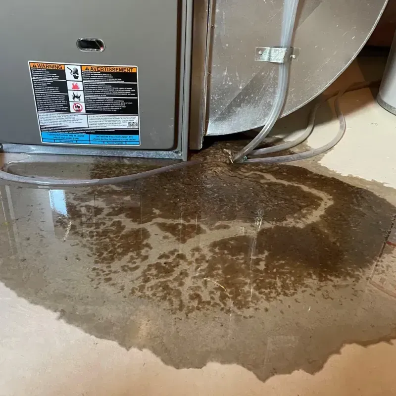 Appliance Leak Cleanup in Davisboro, GA